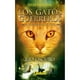 thumbnail image 1 of LIBRO Río Oscuro (Los Gatos Guerreros | El Poder De Los Tres 2), 1 of 2