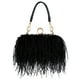 thumbnail image 1 of Bolso de mano Tessco para mujer, con plumas de avestruz, esponjoso, negro, 1 of 3
