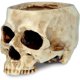 thumbnail image 1 of READAEER Skull Planter with Drain Hole, Resin Skull Shaped Flower Pot, 1 of 3