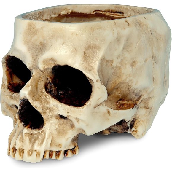 READAEER Skull Planter with Drain Hole, Resin Skull Shaped Flower Pot