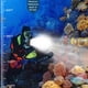 thumbnail image 5 of Luz de buceo submarina Suptig Video Lighting 72 LED para GoPro, 5 of 6