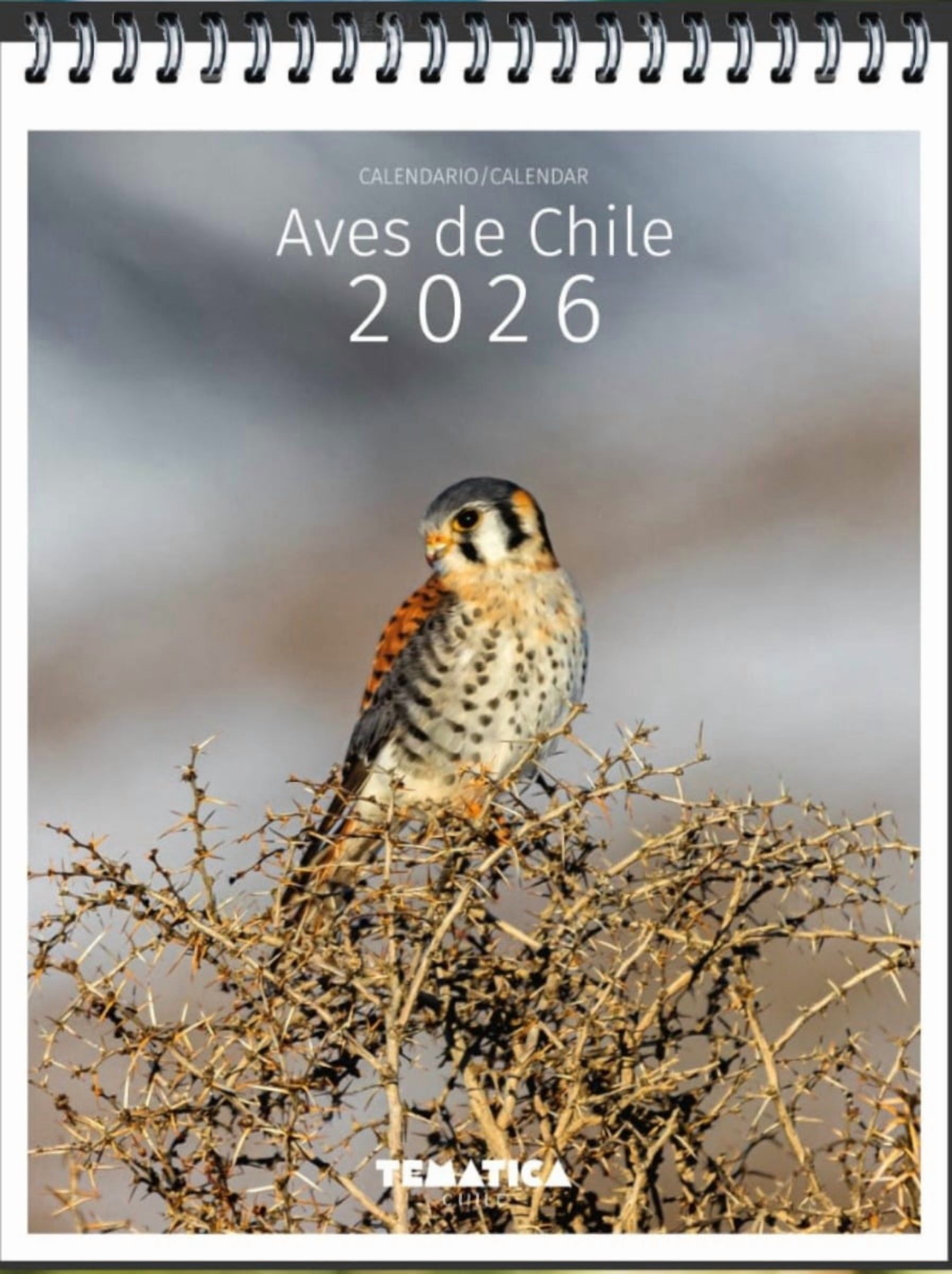 Libro Calendario Escritorio Aves De Chile 2026 - Tematica Chile