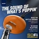 thumbnail image 4 of Altavoz Bluetooth para abrir botellas SOAR Collegiate Cincinnati, 4 of 7