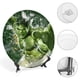 thumbnail image 4 of Hulk Plato decorativo de porcelana fina (bone china), plato decorativo de cerámica para hogar, oficina, soporte de pared, platos decorativos para dormitorio - 6 pulgadas (15 cm), 4 of 6