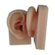 thumbnail image 4 of 2x Orejas De Silicona Modelo Práctica Profesional Piercing Herramientas Exhibición De Joyería, 4 of 5