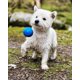 thumbnail image 5 of Juguete para perros Chuckit! Crunch Ball de tamaño mediano (paquete de 2), 5 of 6