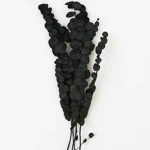 Inspiracci - Rama Decorativa Natural