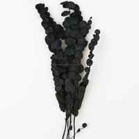 Inspiracci - Rama Decorativa Natural