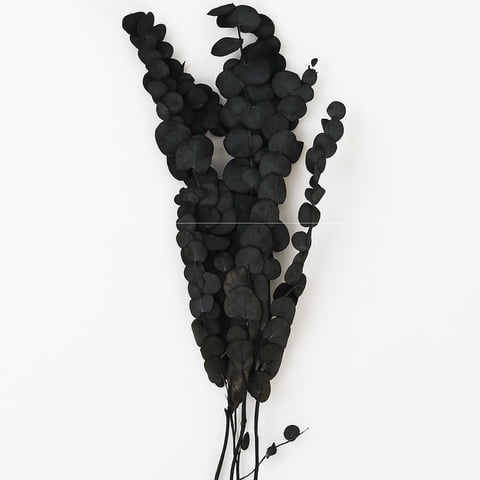 Inspiracci - Rama Decorativa Natural