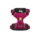 thumbnail image 1 of Arnés Ruffwear Front Range perro Hibiscus Pink XS 43-45 cm, 1 of 2