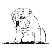 Rienda Libre Graphics - Decomural Bulldog Puppy Cute Animals Ws-17584