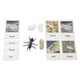 thumbnail image 3 of Juego Educativo Ciclo De Vida Animal Nishiyuenyi, 3 of 5