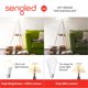 thumbnail image 3 of Bombilla inteligente Sengled 75W 1050 lm Alexa – paquete de 4, 3 of 9