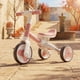 thumbnail image 2 of Triciclo Andador Bicicleta De Equilibrio 3 Etapas, 2 of 4
