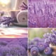 thumbnail image 3 of Bolas eliminadoras de olores Arm & Hammer OdorBusterz® Lavender, 3 unidades, 3 of 5