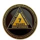 thumbnail image 2 of Moneda de Sobriedad Bliss & Beam 7 Años Calavera AA, 2 of 9