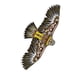 thumbnail image 3 of Al Aire Libre Eagle Kite Sport Playing Toy DIY Toy Para Beach Garden Park Brown, 3 of 5