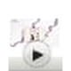 thumbnail image 3 of Set Maquillaje Pur Multitasking Essentials Kit 4 En 1 Primer, 3 of 3