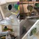thumbnail image 4 of Casa de pájaros YJJKJ Caja nido para loros (M) 24,5 x 13 x 13 cm, 4 of 9