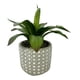 thumbnail image 2 of Planta agave artificial, 2 of 4
