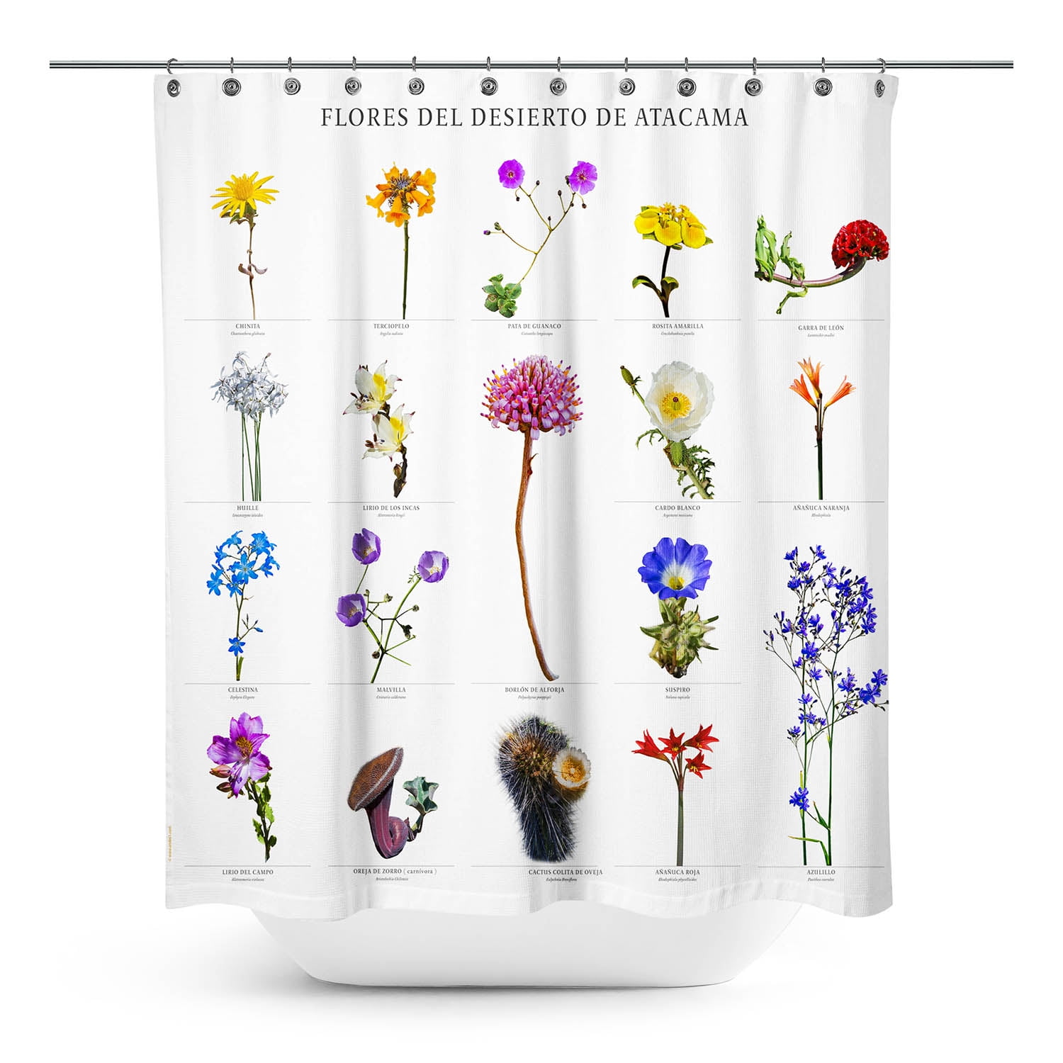 Andes1 - Cortina De Baño Flores Del Desierto De Atacama