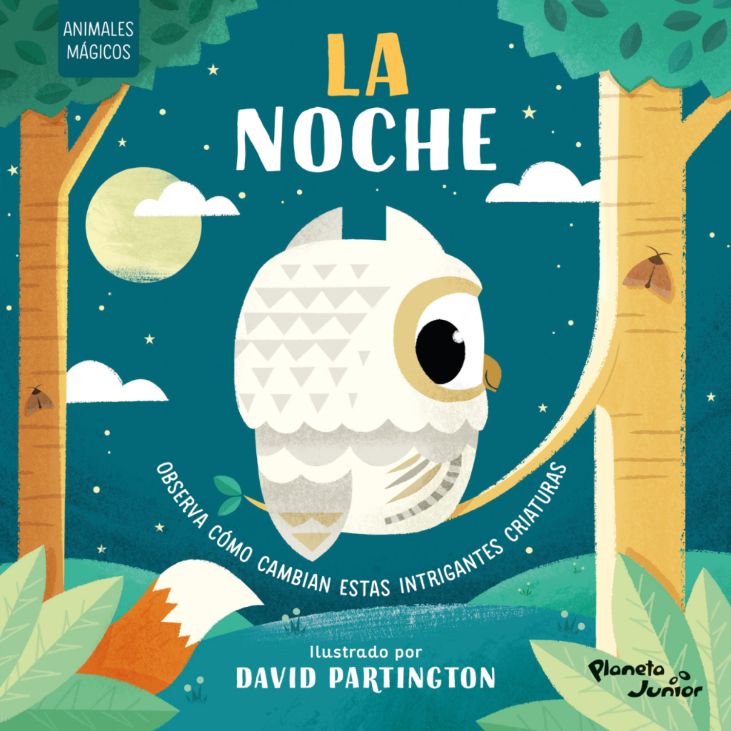 Planeta Junior - Animales Mágicos. La Noche