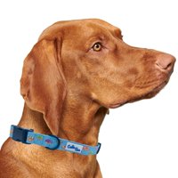 Collar De Perro Cutie Ties Donuts De Nailon Para Perros Medianos