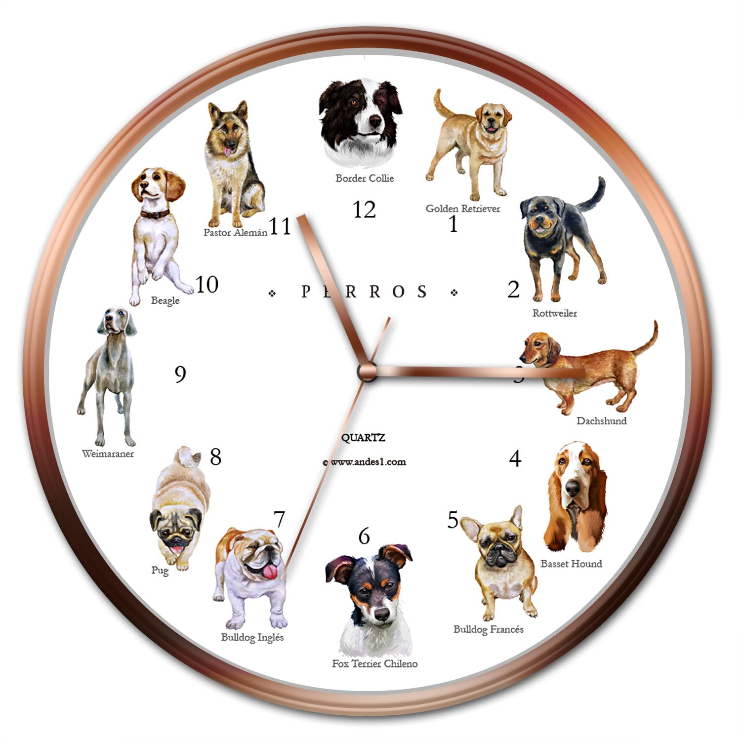 Andes1 - Reloj De Perros