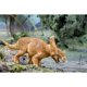 thumbnail image 2 of Figura Dinosaurio Vagaceratops Safari Ltd 16cm Detallada, 2 of 3