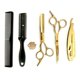 thumbnail image 1 of Set Tijera Profesional Peluquería Navaja Entresacadora 6 Dorado, 1 of 2