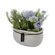 thumbnail image 4 of Planta Artificial Macetero Ceramica Blanco Arreglo Floral celeste, 4 of 6