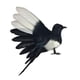 thumbnail image 3 of -Pájaro de simulación, modelo de plumas artificiales, figuras decorativas de pájaros para el hogar, fotografía, utilería, patio, decoración del hogar. Alas extendidas de 18 cm., 3 of 5