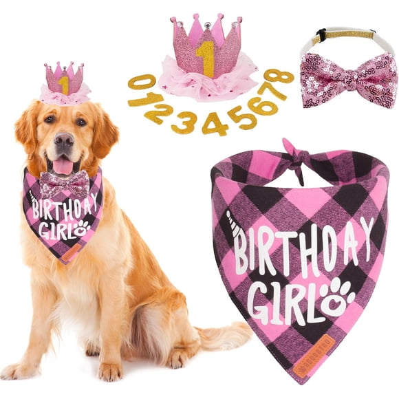 Set de cumpleaños para perro ADOGGYGO con sombrero y bandana