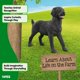 thumbnail image 5 of Figura de juguete Schleich Perro Labrador negro 14923, 5 of 5