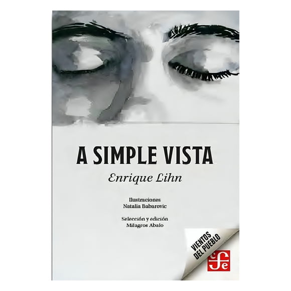 LIBRO A SIMPLE VISTA - ENRIQUE LIHN, NATALIA BABAROVIC