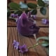 thumbnail image 3 of Vela Morada Gato Tercer Ojo, 3 of 5