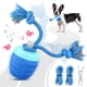 thumbnail image 1 of Juguete interactivo para perros HVUATQ Wicked Ball 2026 para perros medianos y grandes, 1 of 7