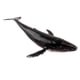 thumbnail image 3 of Ballena Realista Modelo Animal Educación Figura Suave Juguete Para Niños Ballena Jorobada, 3 of 3