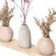 thumbnail image 2 of Flores Secas Deco Colgante, 2 of 3