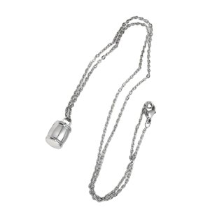Ioensy - Collar De Urna Joyería De Cremación Recuerdo Para Mascotas Marido Amigos Plata