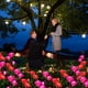 thumbnail image 2 of Luces solares para jardín, decoración navideña, luces solares con rosas y 6 rosas, impermeables, para jardín, patio, camino, paquete de 2, 2 of 6