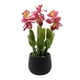 thumbnail image 1 of Planta Artificial Orquidea Rosada Decorativa Macetero Loza, 1 of 5