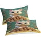 thumbnail image 1 of Juego de 3 piezas de funda nórdica con diseño de gato, ropa de cama 3D con animales, fácil cuidado, funda nórdica con cierre de cremallera, de microfibra, tamaño doble., 1 of 3