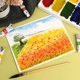 thumbnail image 3 of Pintura acuarela Paul Rubens 36 colores en tubos de 5 ml, 3 of 8