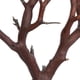 thumbnail image 3 of Manzanita Vickerman natural, 60 cm, seca para uso en interiores, 3 of 4