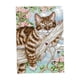 thumbnail image 4 of El kit de punto de cruz contado imprimió los diseños de la aguja del modelo del gato 27 × 39cm 11CT, 4 of 5