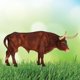 thumbnail image 2 of Figura Breyer Horses Traditional Series Texas Longhorn Bull, 2 of 5