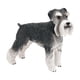 thumbnail image 5 of La Estatuilla Del Perro De Simualtion Hace A Mano El Schnauzer Estándar Miniatura Para El Regalo De Vacaciones, 5 of 5