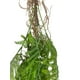 thumbnail image 3 of Helecho Colgante Mimosa 80cm, 3 of 3