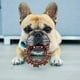 thumbnail image 2 of Anillo texturizado Nylabone Power Chew juguete masticable para perros hasta 25 libras, 2 of 3